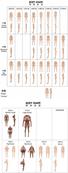 Hot selling 160cm sex doll TPE doll (158) from automaticwoman